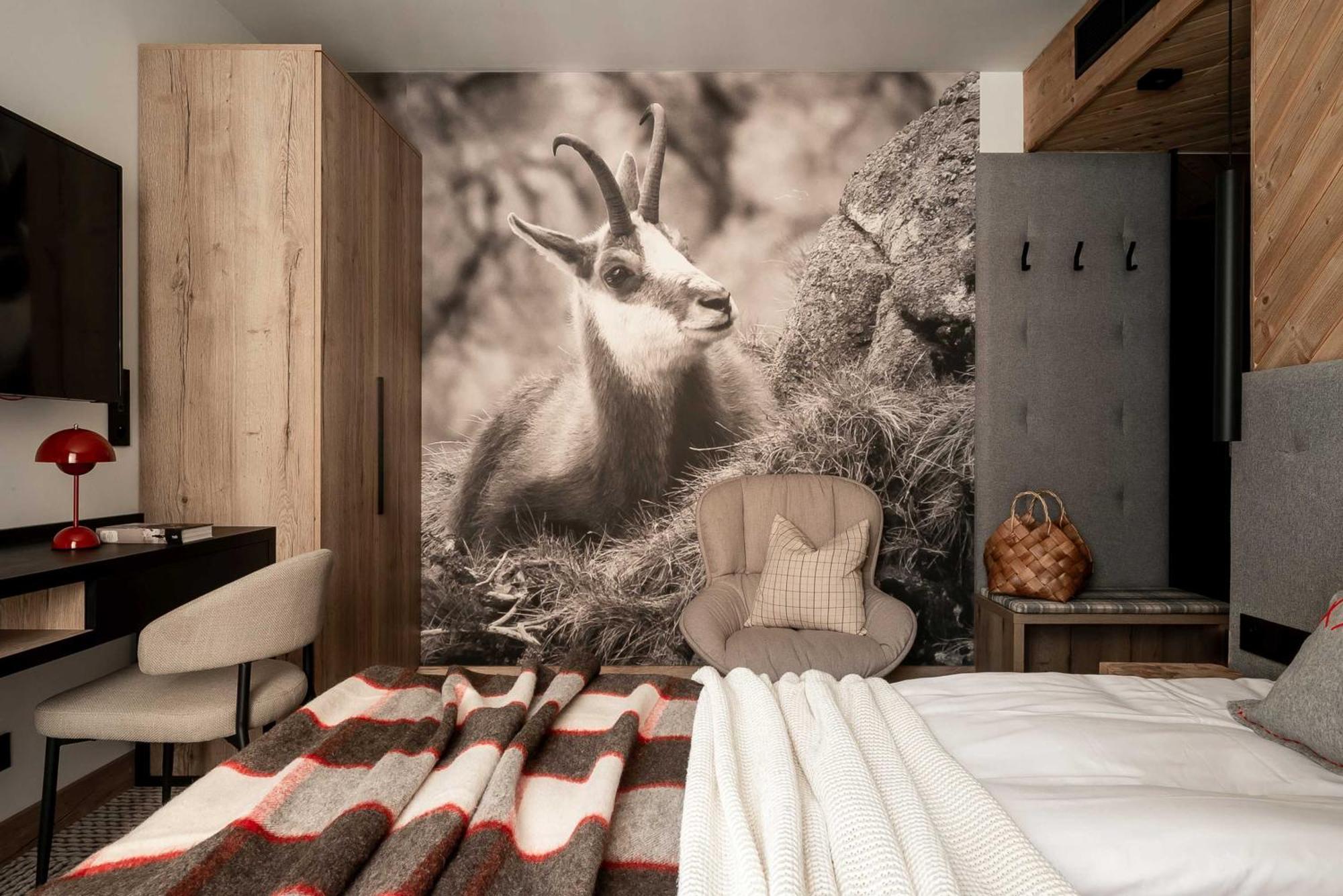 Stefanova Zakopane Aparthotel & Spa Luaran gambar